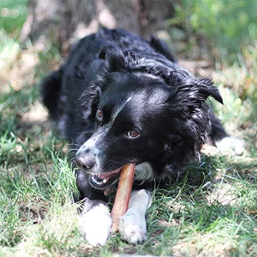 Brazilian Beef Bully Sticks — 1 lb Bag