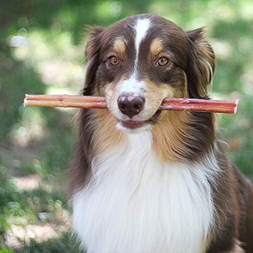 Brazilian Beef Bully Sticks — 1 lb Bag