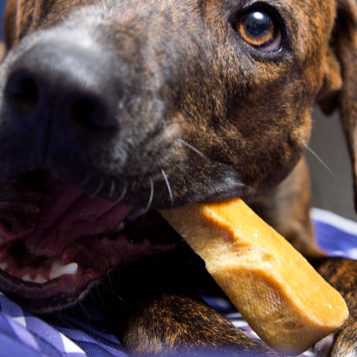 Gold Yak Chews for Large Dogs
